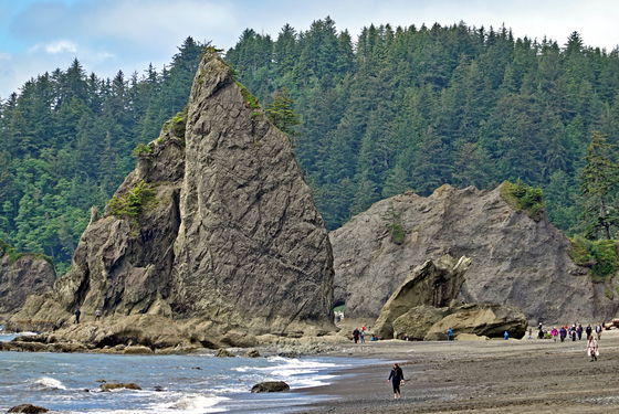 Olympic National Park