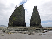 Olympic National Park