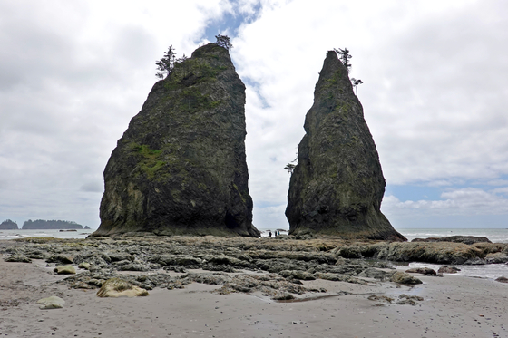 Olympic National Park