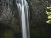 Salt Creek Falls