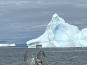 Greenland icebergs 