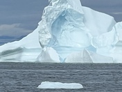 Greenland icebergs 