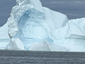 Greenland icebergs 