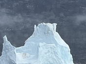 Greenland icebergs 