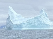 Greenland icebergs 