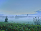 Foggy farm 