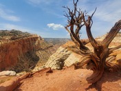 Capitol Reef National Park