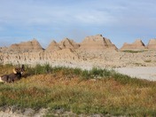 Badlands National Park