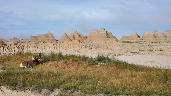 Badlands National Park