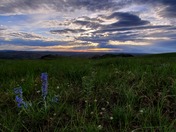 Theodore Roosevelt National Park