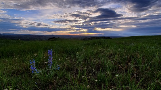 Theodore Roosevelt National Park