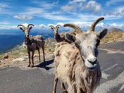 Mount Evans Wilderness
