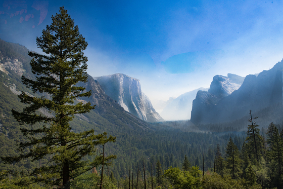 Yosemite National Park
