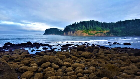 Olympic National Park
