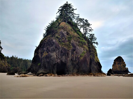 Olympic National Park