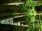 Kuralt Trail