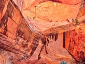 Zion National Park