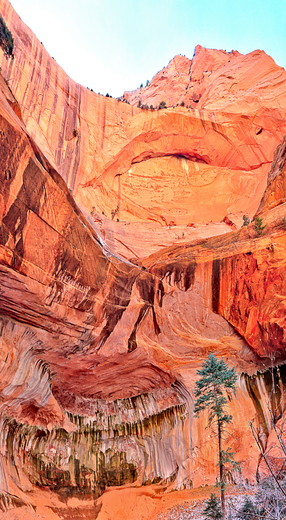 Zion National Park