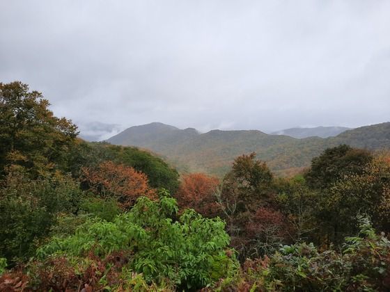 Plott Balsam Overlook