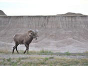 Badlands National Park