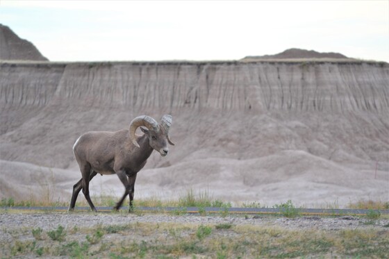 Badlands National Park