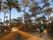 Welaka State Forest