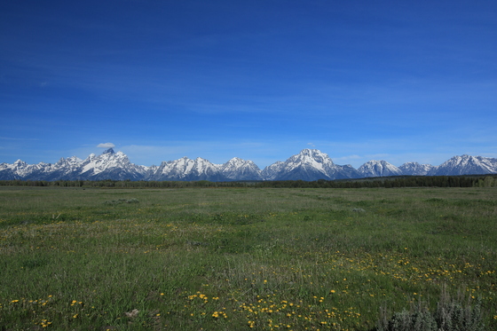 Grand Teton National Park