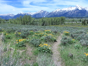 Grand Teton National Park