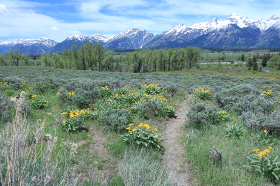 Grand Teton National Park