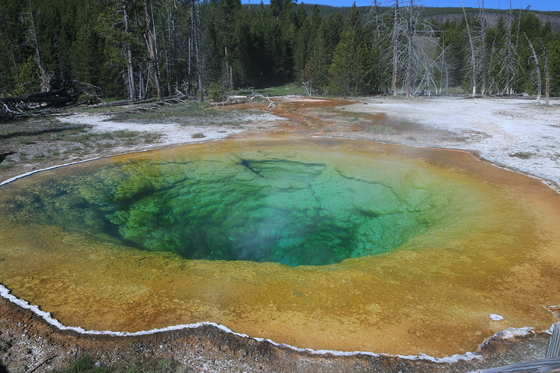 Yellowstone National Park