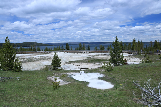 Yellowstone National Park