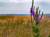 Badlands National Park