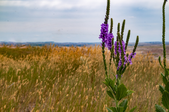 Badlands National Park