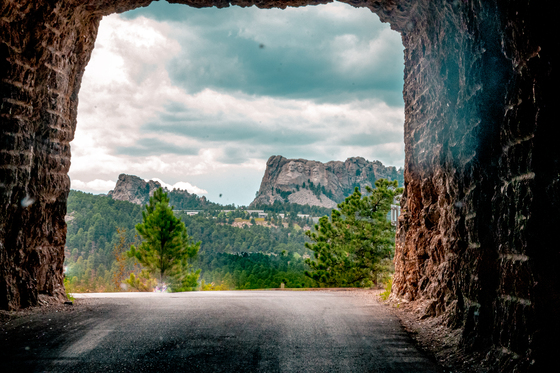 Black Hills National Forest