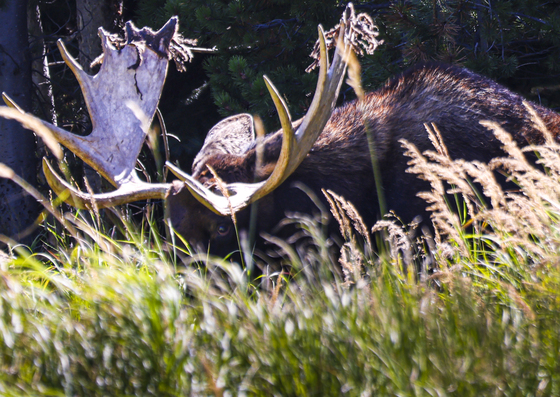 Rocky Mountain National Park