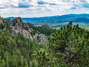 Black Hills National Forest