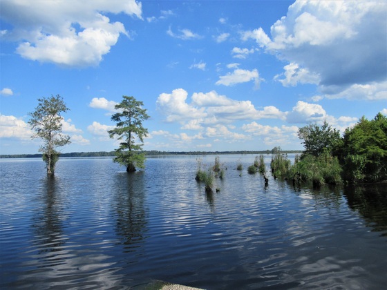 Great Dismal Swamp National Wildlife Refuge