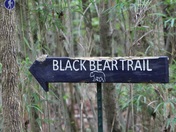 Great Dismal Swamp