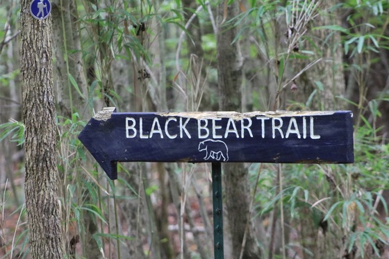 Great Dismal Swamp