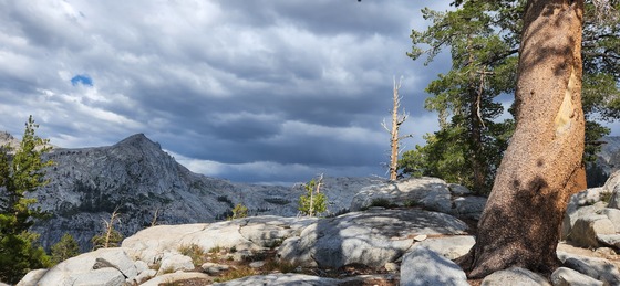 Sequoia National Park