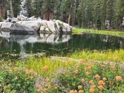 Sequoia National Park