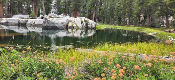 Sequoia National Park