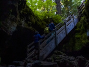  Gifford Pinchot National Forest