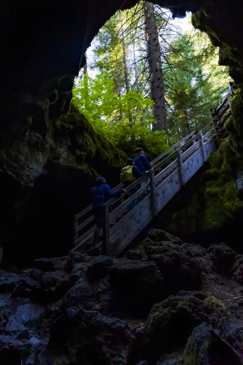 Gifford Pinchot National Forest