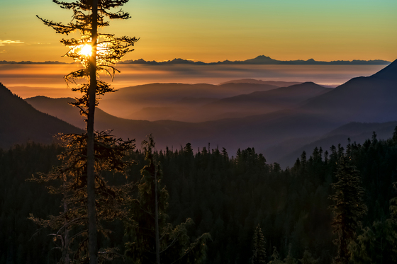 Olympic National Park