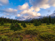Fall Foliage In A Banff Mountain Park