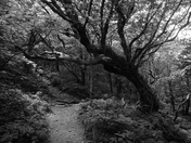 Blue ridge parkway