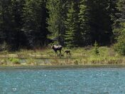 Glacier National Park