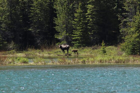 Glacier National Park