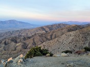 Joshua Tree National Park